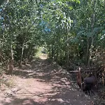 Le Domaine De Fromiga Lattes
