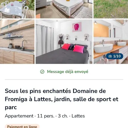 Le Domaine De Fromiga Lattes
