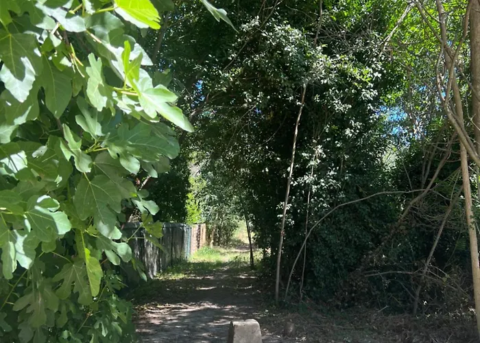 Le Domaine De Fromiga Apartman *